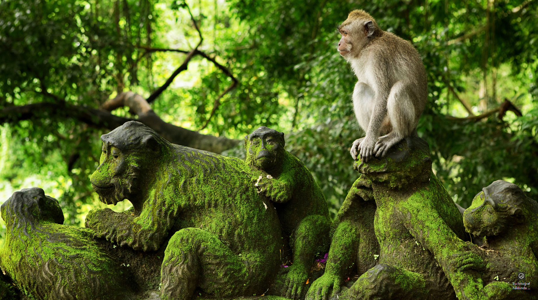 Hagia Sophia Ticket with Private Transfer